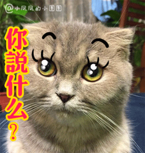 妞妞和端午表情包