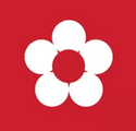 花纷飞wp版