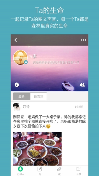 我的森林 v1.3.2 安卓最新版图3