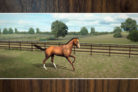 我的马 My Horse 1.21.1 安卓版图2