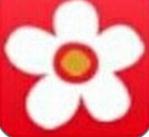 布米米