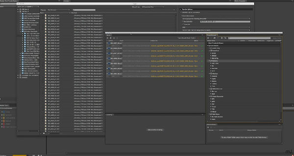 Adobe prelude cc 2015.1 Mac版图2