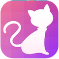 有型app