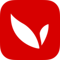 玩tv app