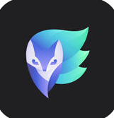 enlight电脑版