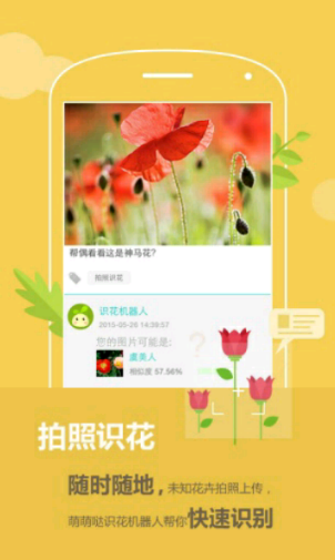 花满城app 1.0.0 官方版图1