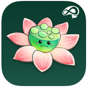 禅定花园