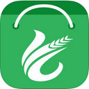 掌麦