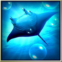 Ocean HD下载