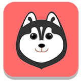 爱狗团app