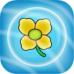 Camelina Caper