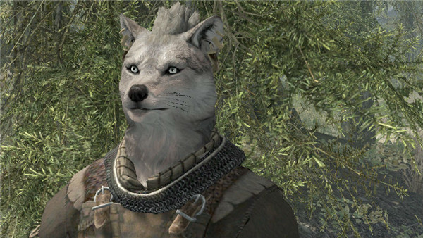 上古卷轴5天际狼头人随从钢罗斯MOD 绿色版图2