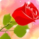 见缝插花游戏