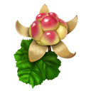 Moroshka File Manager