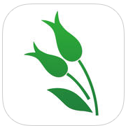 薏米医生app