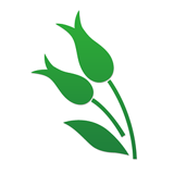 薏米医生app