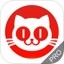 猫眼票房分析