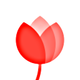 好看一图app
