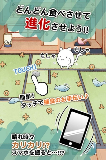 这是猫咪吗下载 v1.0.5 安卓版