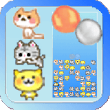 猫医生