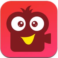 演技派电脑版下载