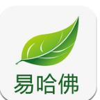 易哈佛考试