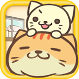 猫毛