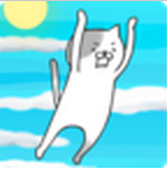 奔跑吧猫叔