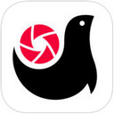 腾讯画报app