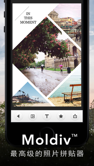 Moldiv V2.6 iPad版图1