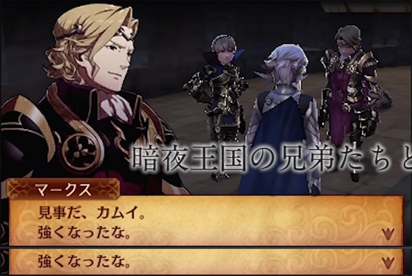 3DS火焰纹章IF限定版 日版图2