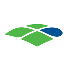 我们的田野