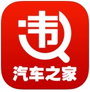 违章查询助手电脑版下载