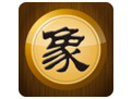 中国象棋大师