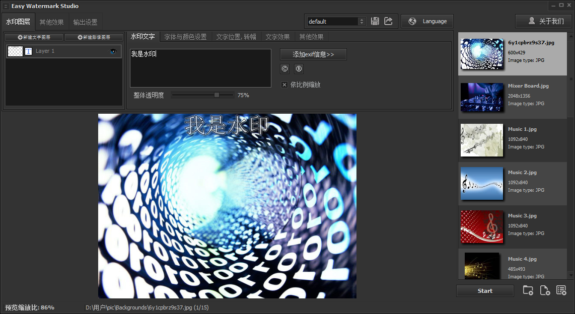 水印工具Easy Watermark Studio 4.2 破解版图1