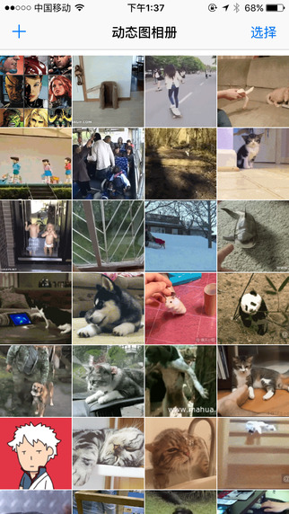 动态图相册iPad版 V1.7 官方版图2