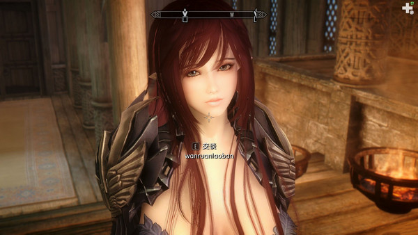 上古卷轴5百合学院学生会长独立随从MOD下载 绿色版图2