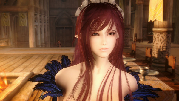 上古卷轴5百合学院学生会长独立随从MOD下载 绿色版图1