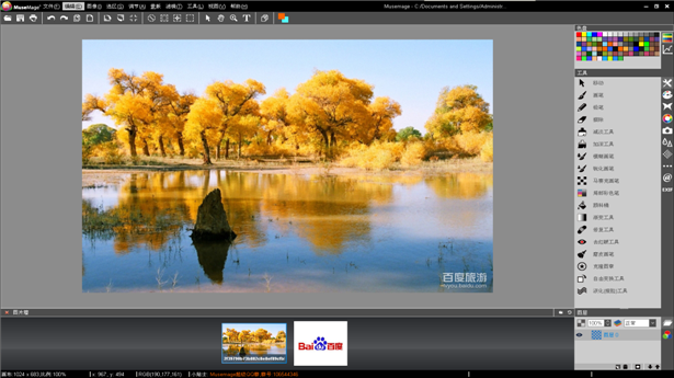 Musemage 1.9.6.5363 免费版图1