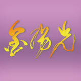 光大证券金阳光手机版