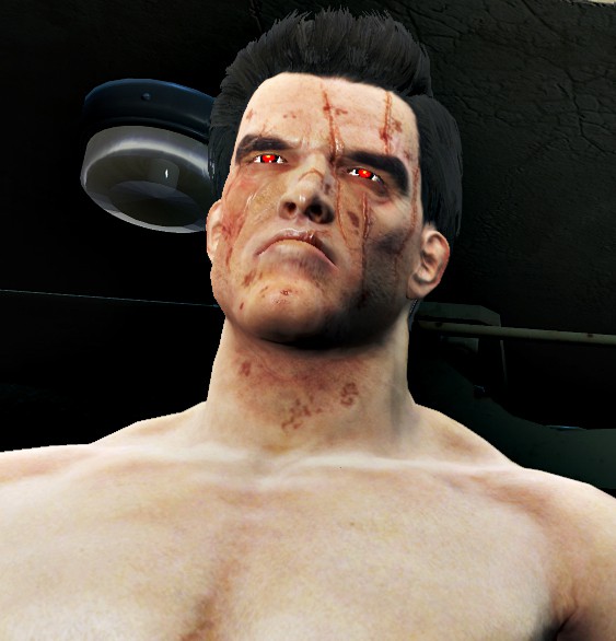 辐射4施瓦辛格捏脸存档下载 绿色版图1