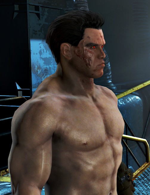 辐射4施瓦辛格捏脸存档下载 绿色版图2