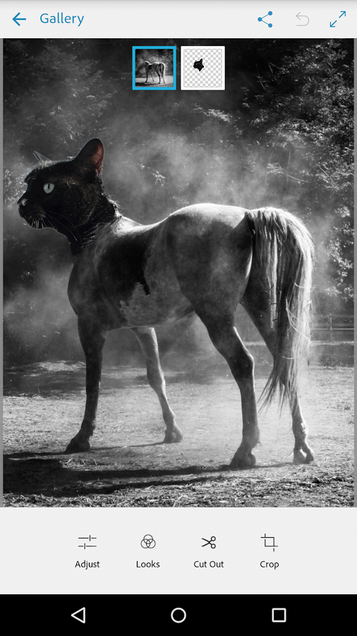 Adobe Photoshop Mix手机版 v1.2.512 安卓版图1