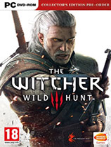 巫师3公主铲子MOD