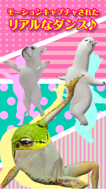 aDanza(跳舞的羊驼) v0.9.0 安卓版图2