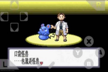 口袋妖怪红宝石 1.2.0 安卓版图3