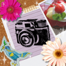 照片装饰 photodeco 3.12 安卓手机版