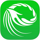 穿针引线下载