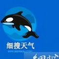 细搜天气