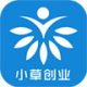 小草创业